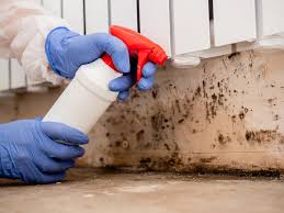 Best Industrial Mold Remediation in USA